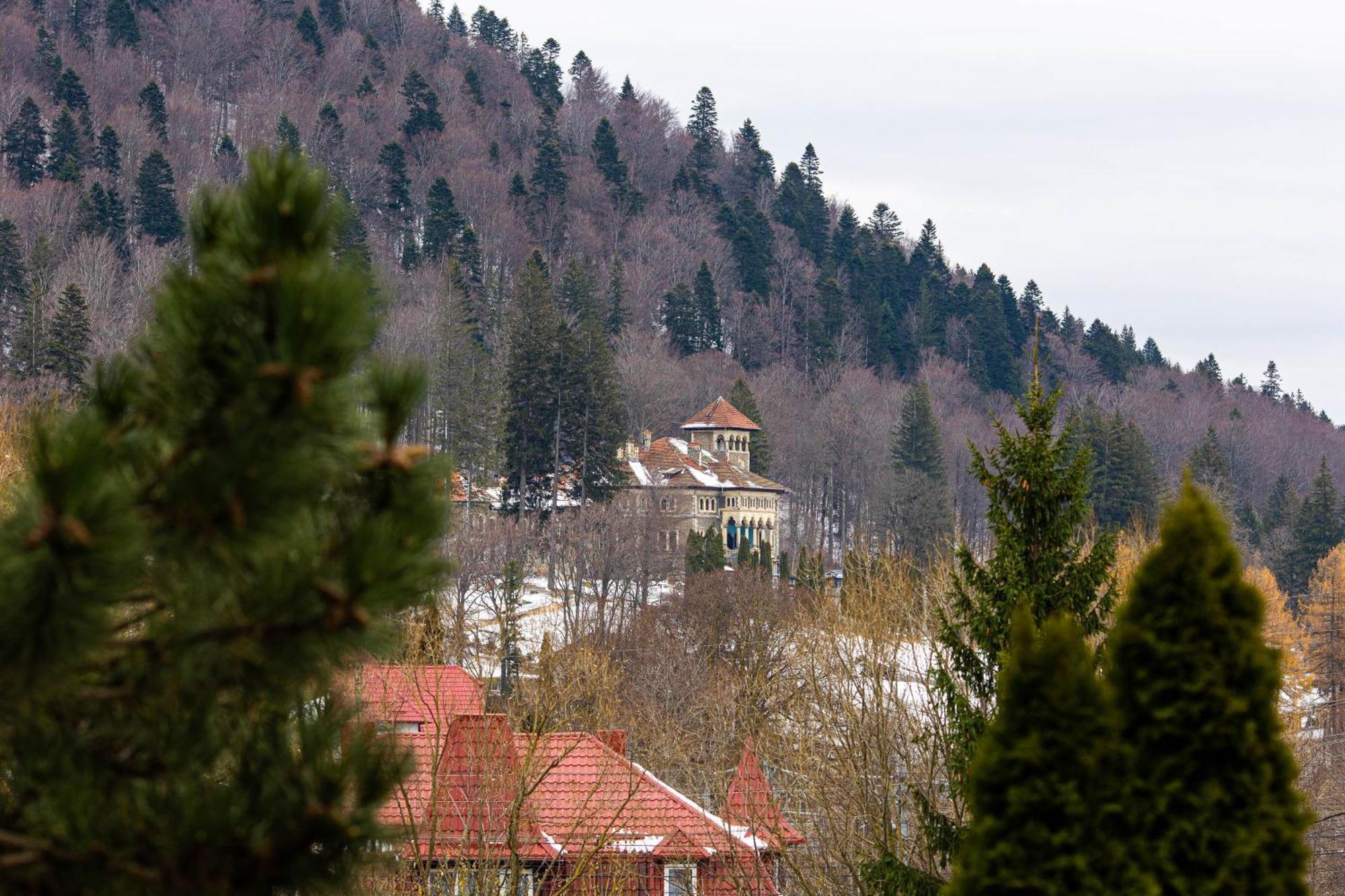 Hotel Alexandros Buşteni Εξωτερικό φωτογραφία